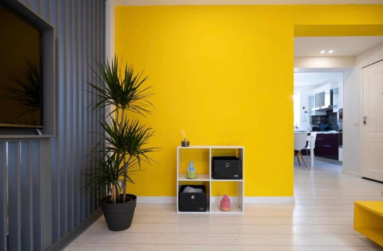 Apartment Euphoria *